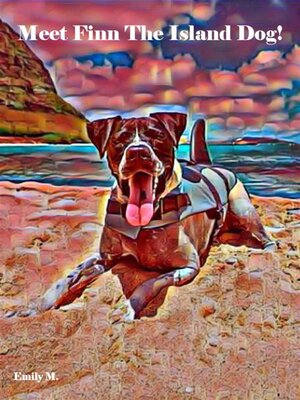 cover image of Tex & Friends--Meet Finn the Island Dog!
